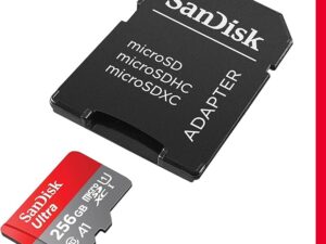 SanDisk MicroSD Class 10 256GB