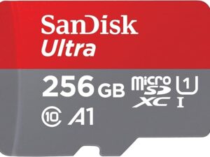 SanDisk MicroSD Class 10 256GB