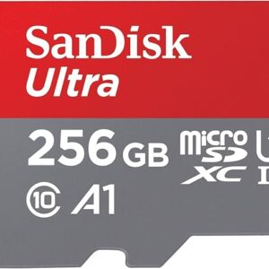 SanDisk MicroSD Class 10 256GB