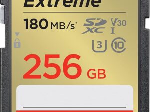 SanDisk Extreme SDXC 256GB SDSDXVV-256G-GNCIN